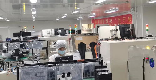 攜手并進，共譜華章——瑞谷光網與華為合作的質量績效與體系建設雙豐收